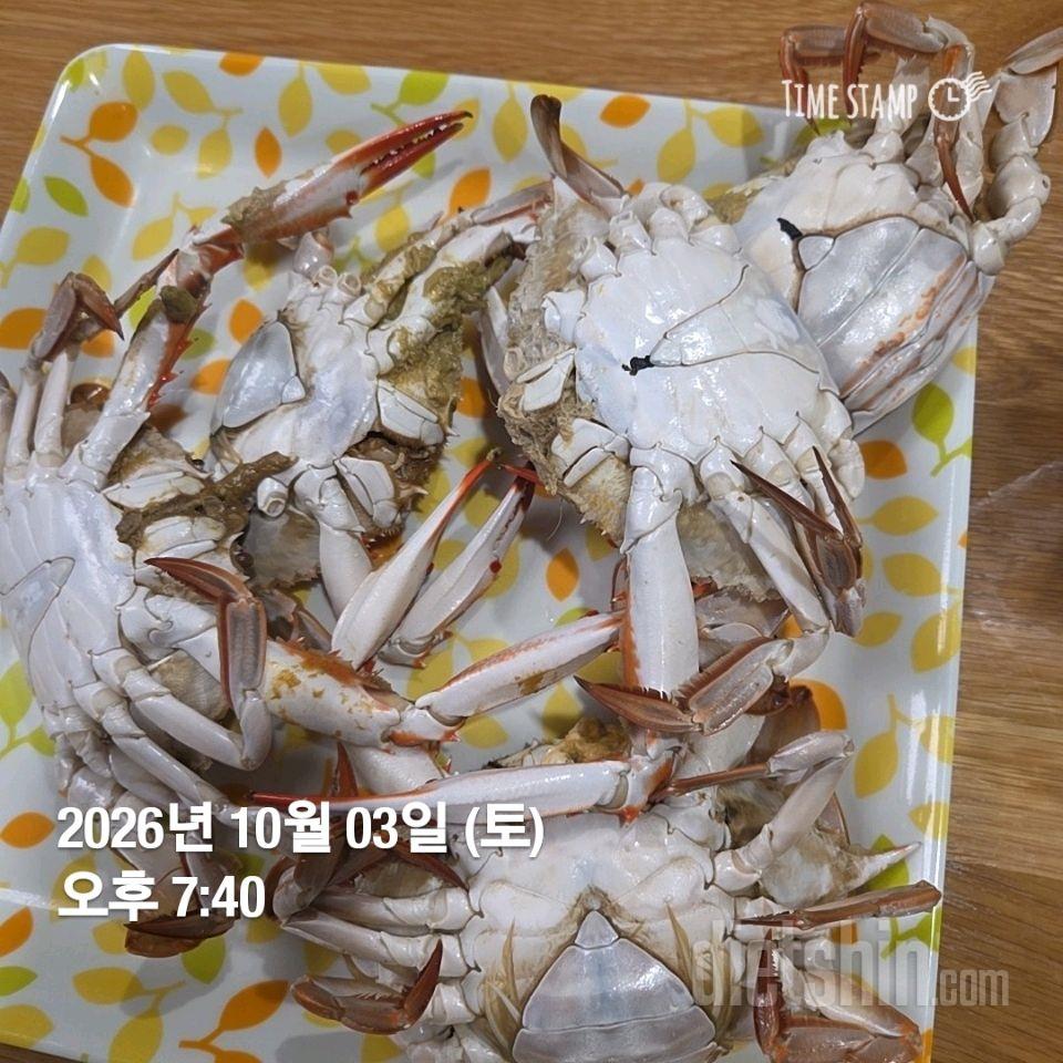 작심276