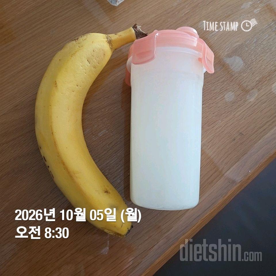 작심278