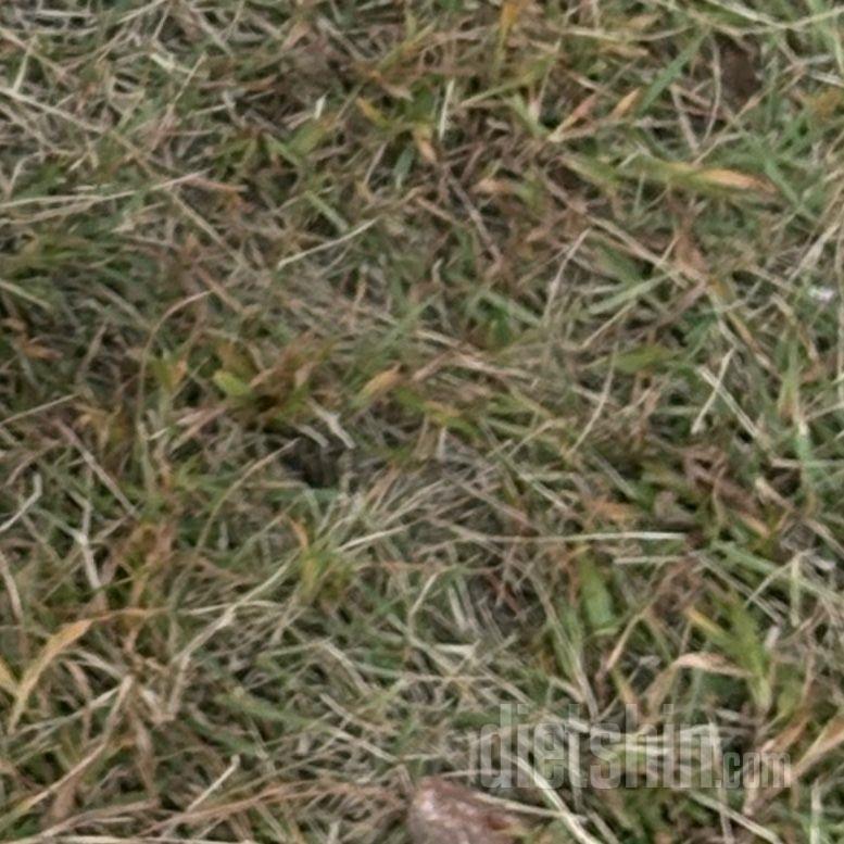30일 복근 만들기7일차 성공!