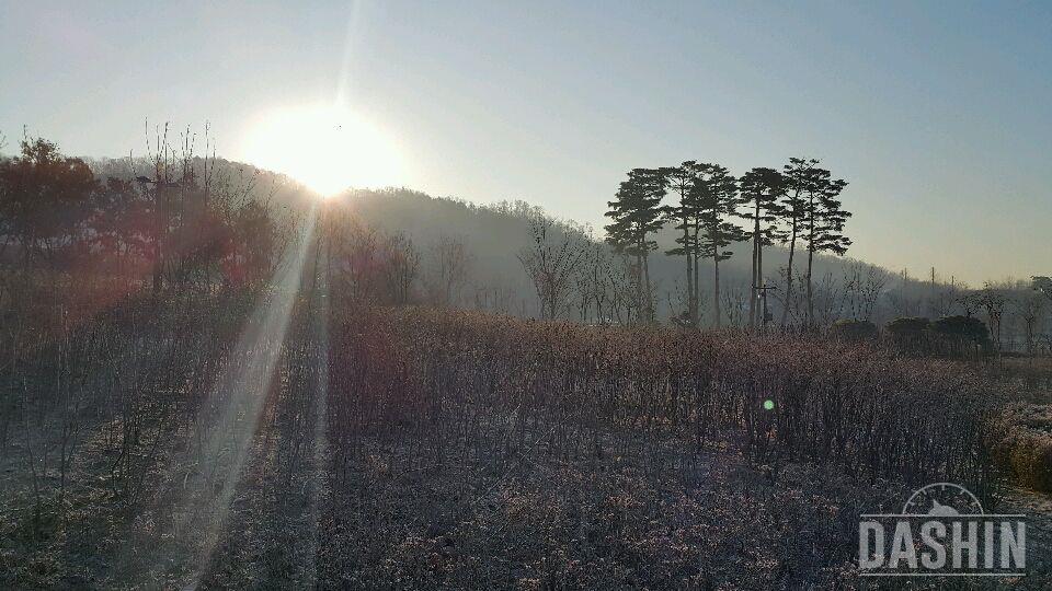 오늘만 먹겠다는게 ᆢ