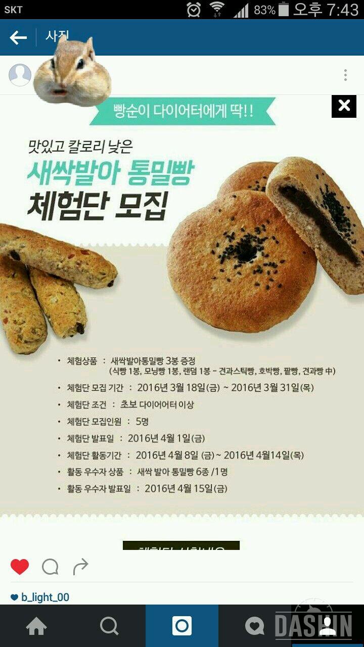 통밀빵 체험단 신청이요!!