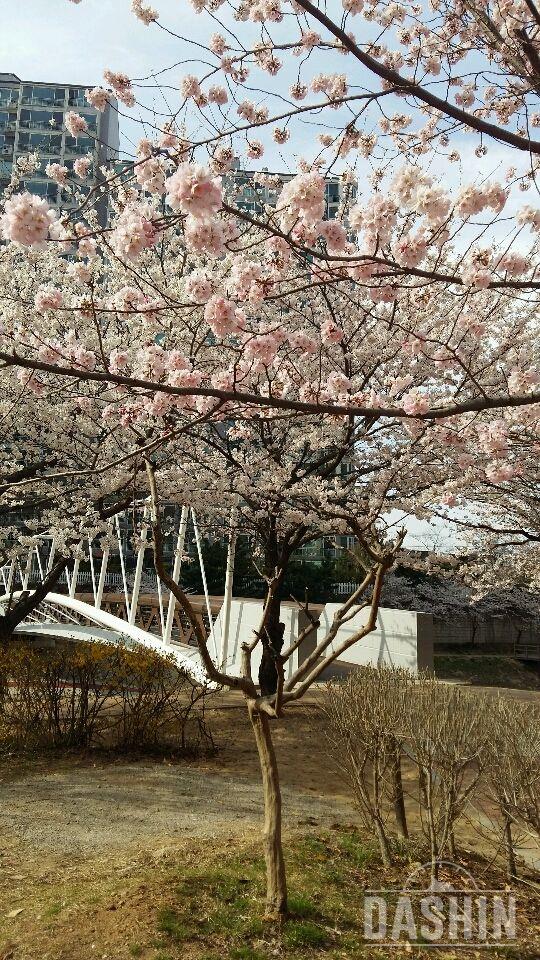 날씨도 따뜻하니 산책을~