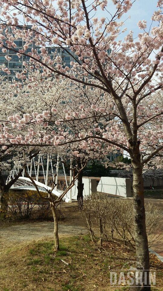 날씨도 따뜻하니 산책을~