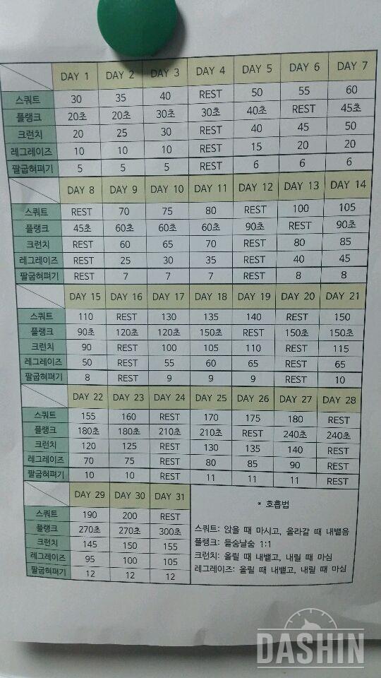 스쿼트 등 30일 프로그램ㅠ