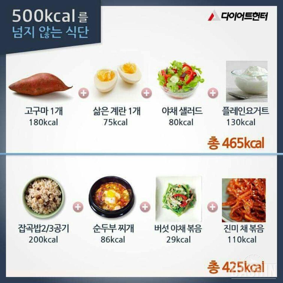 500kcal 미만 식단