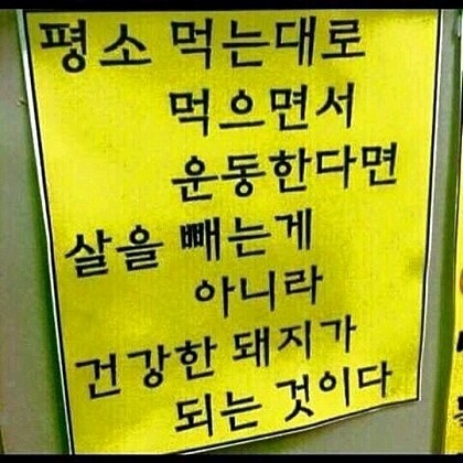 나는 건강한 돼지인가