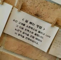 썸네일