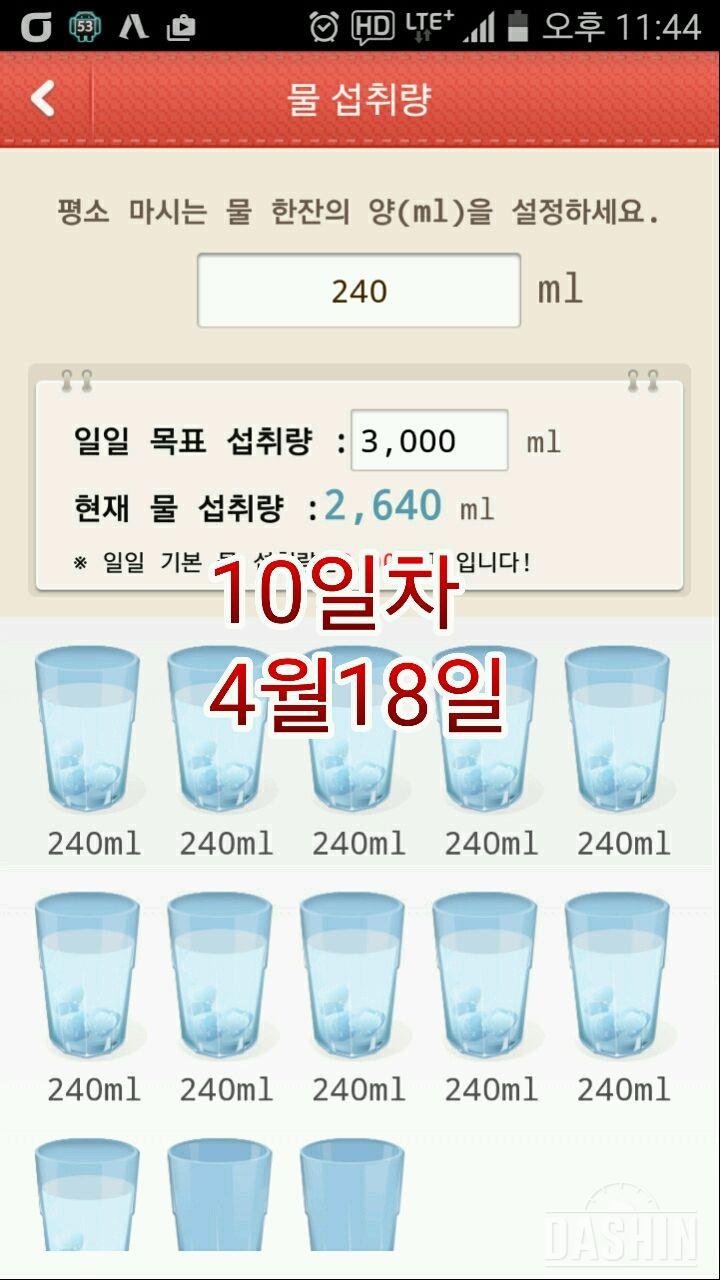 10일차