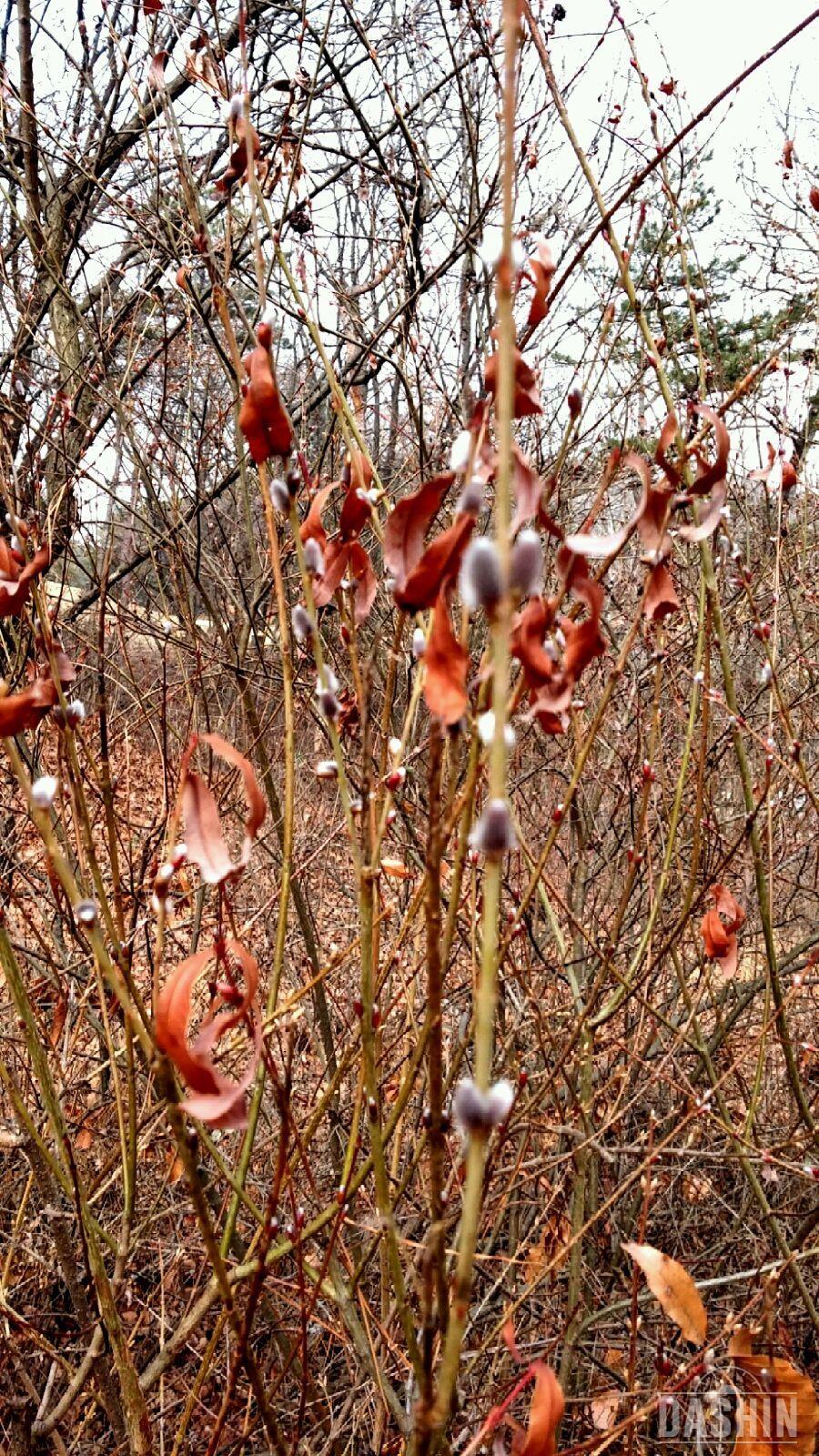 황사 경보에도 바깥 활동