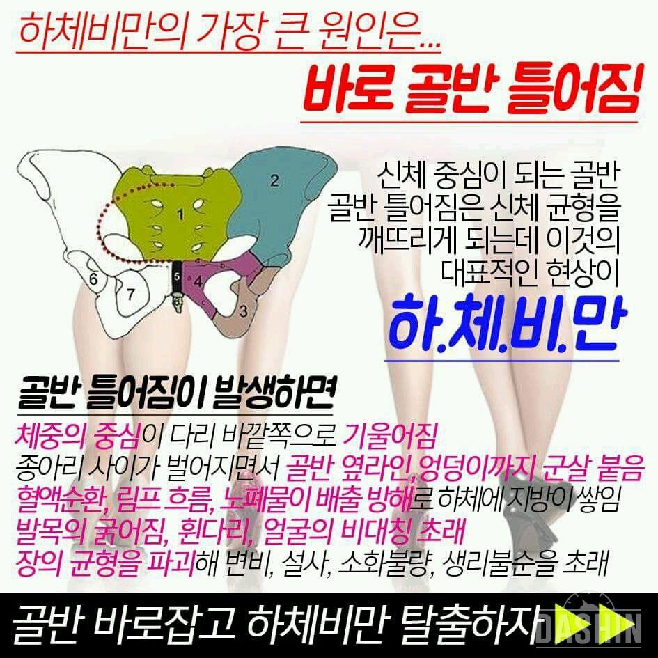 하체비만의 다이어트법!!!