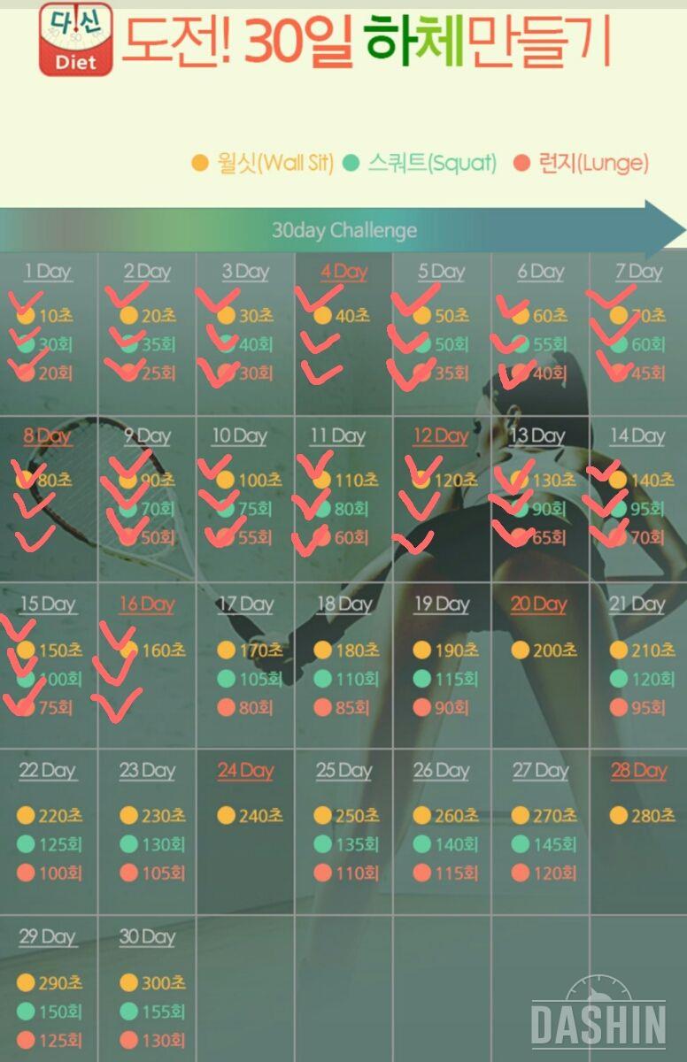 16일차★다리라인완료★