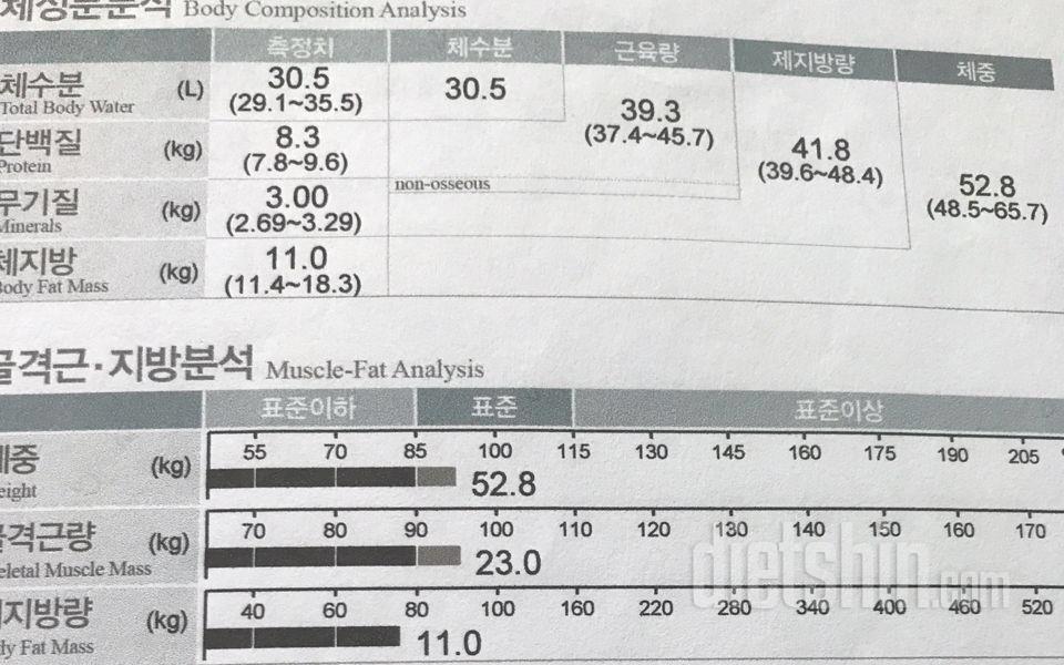 유학시절 65kg -> 현재 51-52kg