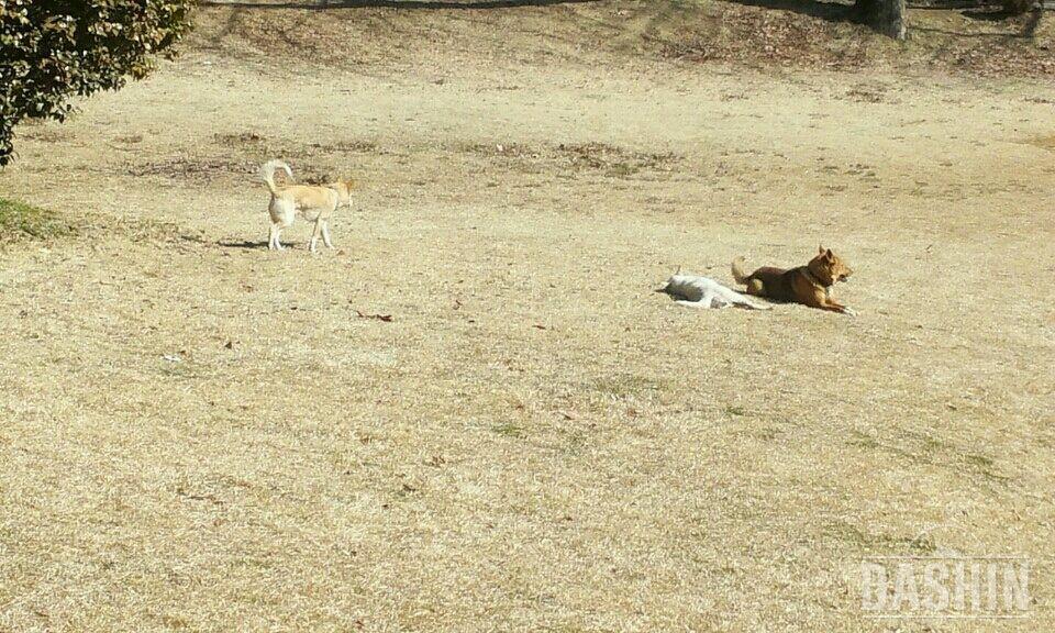 올만에 학교왔어요 ㅎㅎ