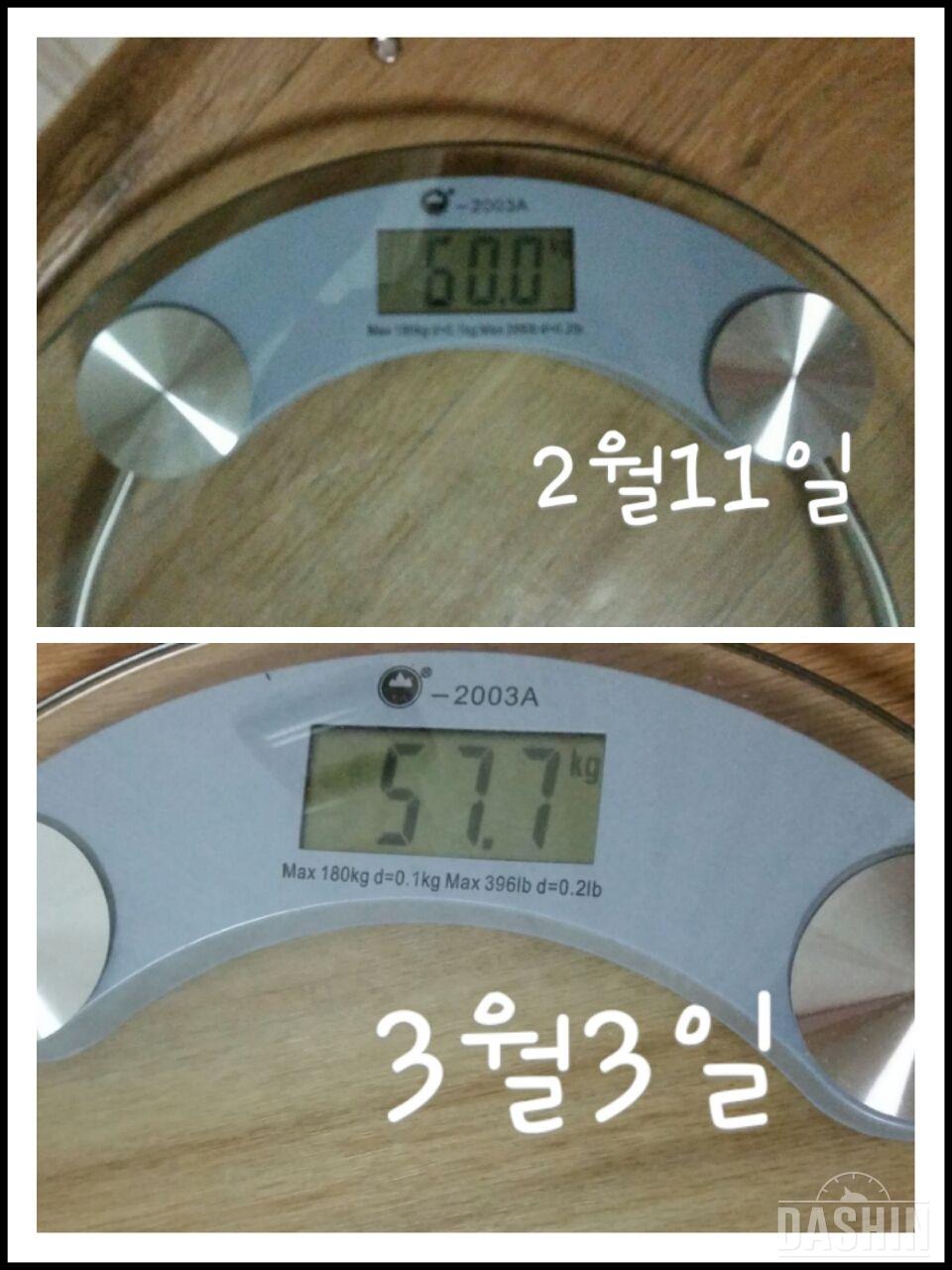 퓨어나인 보틀 21일 최종점검