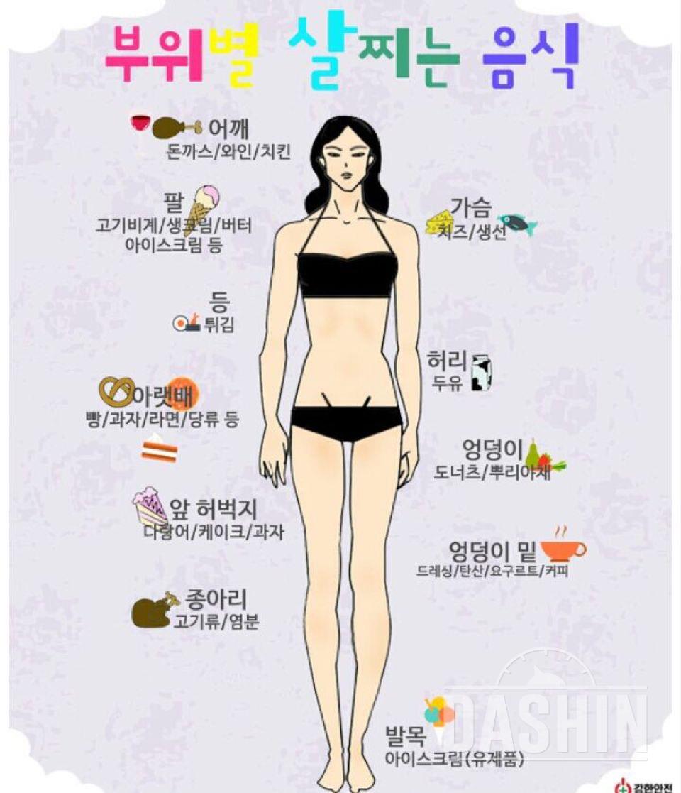 연예인 식단은 참고할수 있는 좋은 식단