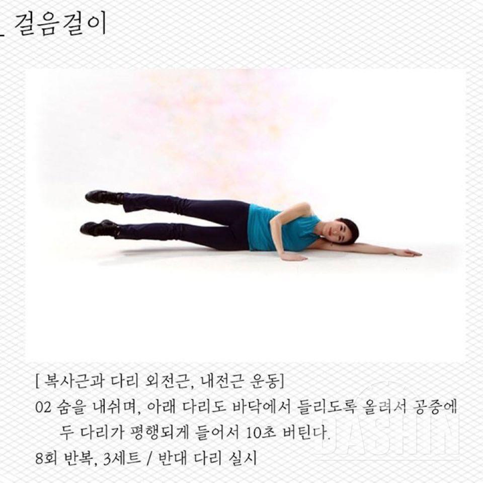 전신운동 모음