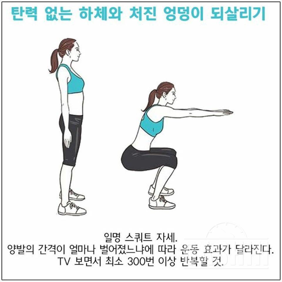 전신운동 모음2