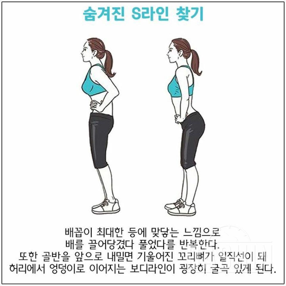 전신운동 모음2