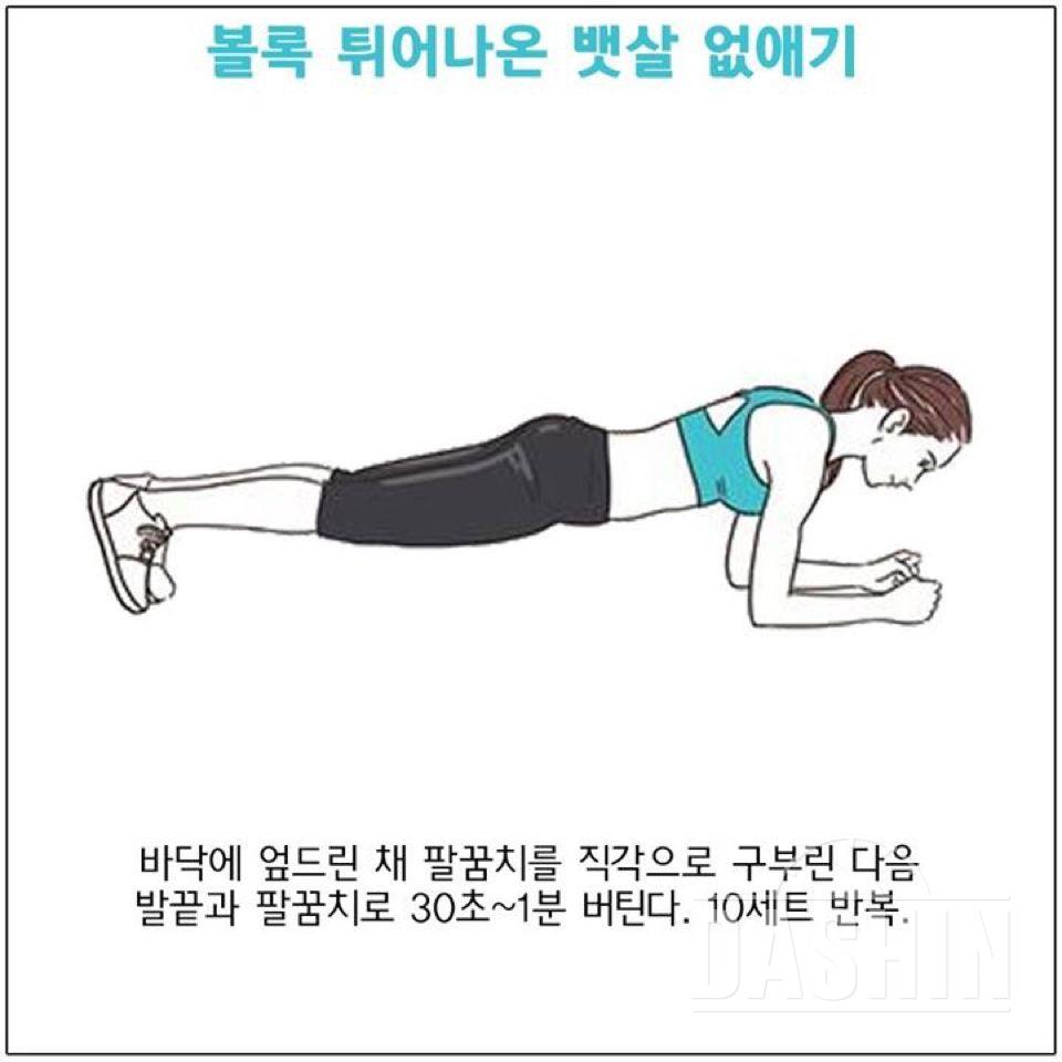 전신운동 모음2