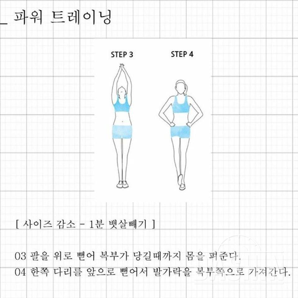 전신운동 모음2