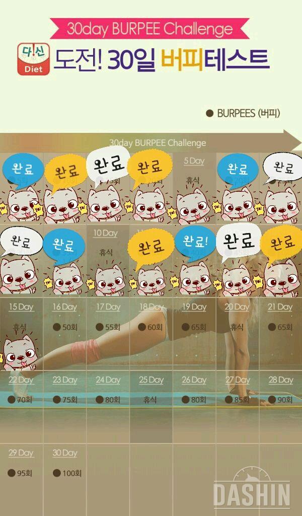 ★버핏테스트 15일차!★