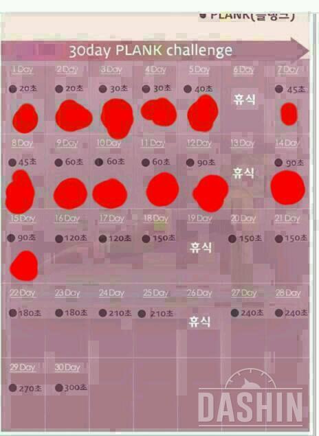 플랭크15