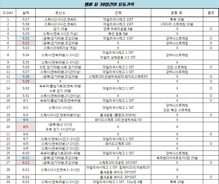 다이어트 운동일기 30일