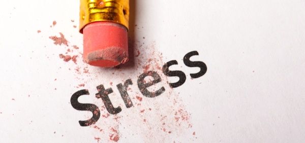 스트레스는 어떻게 살을 찌우는 걸까?