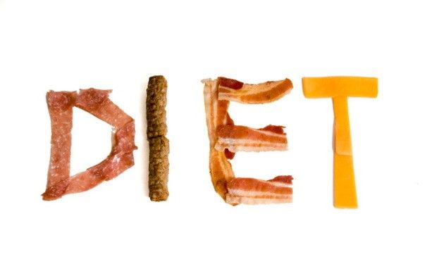 다이어트할 때 `기초대사량`이 중요한 이유!