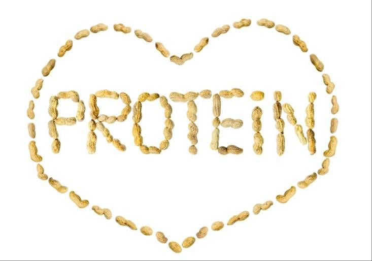 단백질 보충제, 내몸에 맞게 똑똑하게 선택하는 법