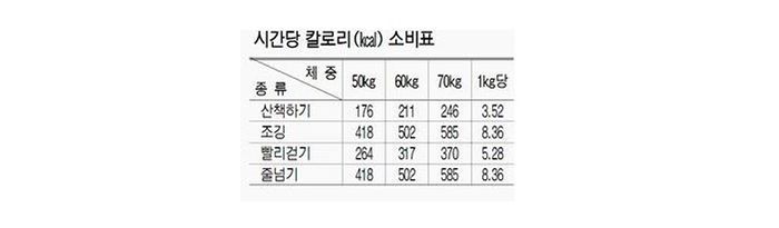 다이어트할 때 걷기와 달리기 어떤 게 더 효과적일까?