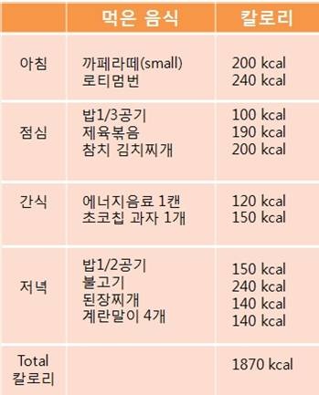 체중 감량기 살빼기 팁