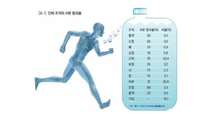 운동할 때 물 얼마나 먹어야 할까요?