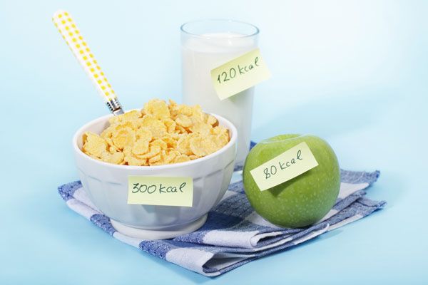 다이어트 성공을 위한 식이조절 `비법`
