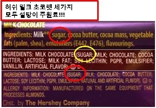 진짜 다크 초콜렛 VS 초콜렛 맛 설탕