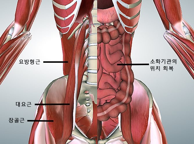 [Healthy Winter Series] 몸을 고치는 요가 3편 - 소화불량