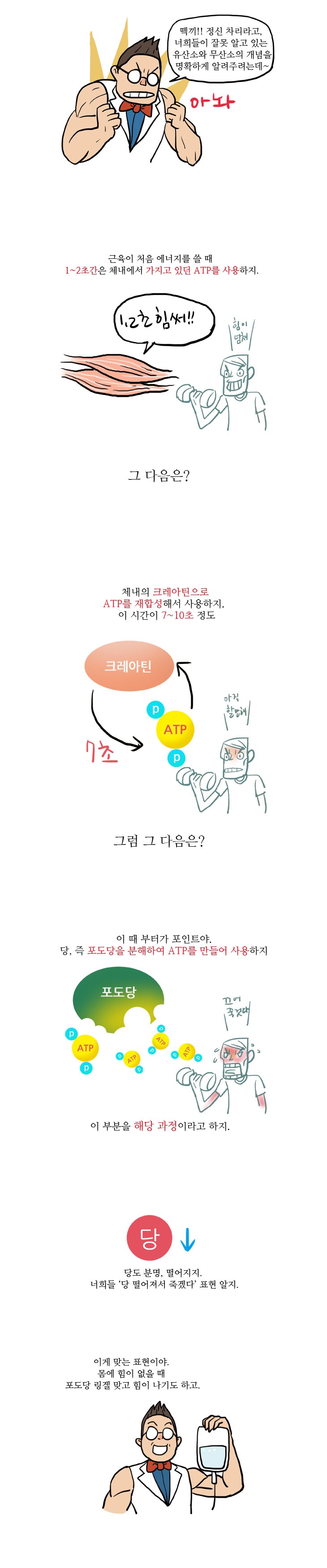 10화, 체중감량 할 때, 유산소운동 VS 무산소 운동?