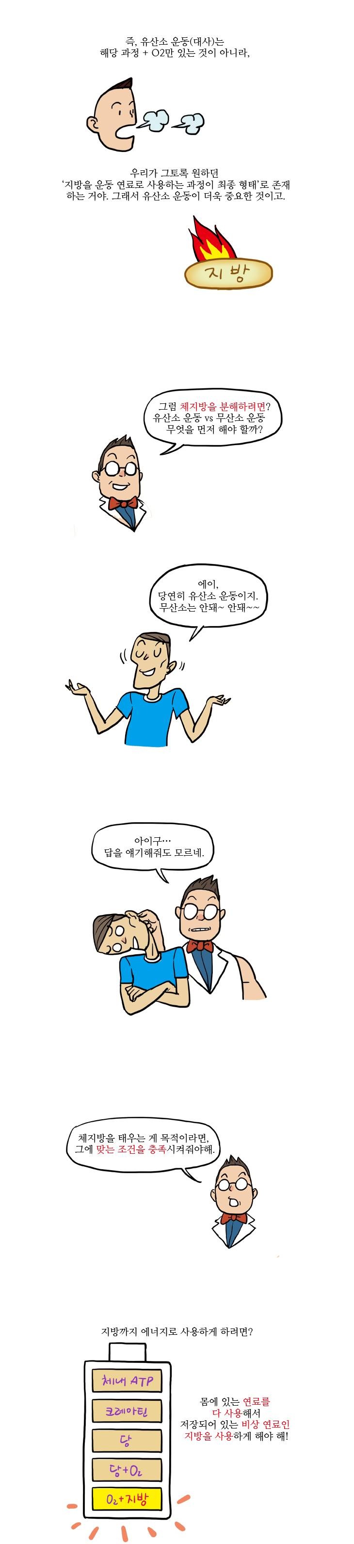 11화, 몸속 지방이 태워지려면?