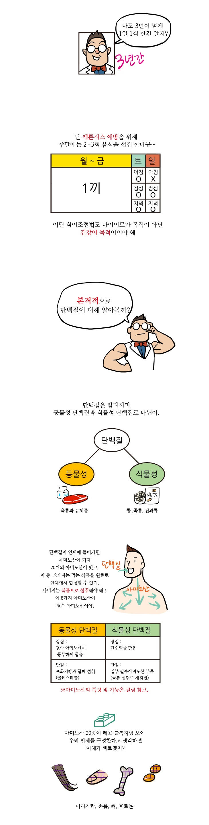 14화, 필수영양소 단백질, 제대로 알고 먹자?!