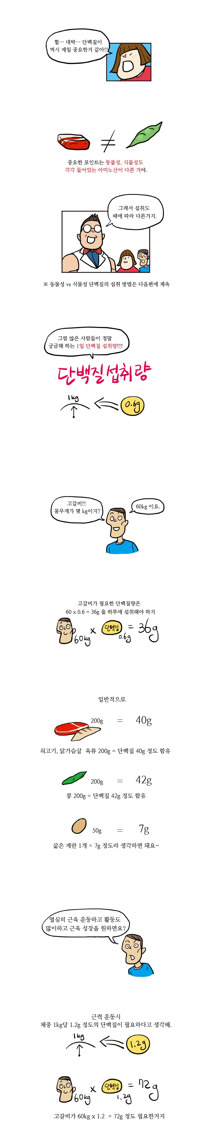 14화, 필수영양소 단백질, 제대로 알고 먹자?!