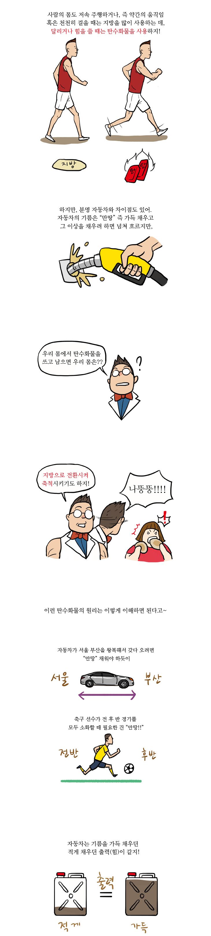 15화, 탄수화물 먹으면 무조건 살찔까?