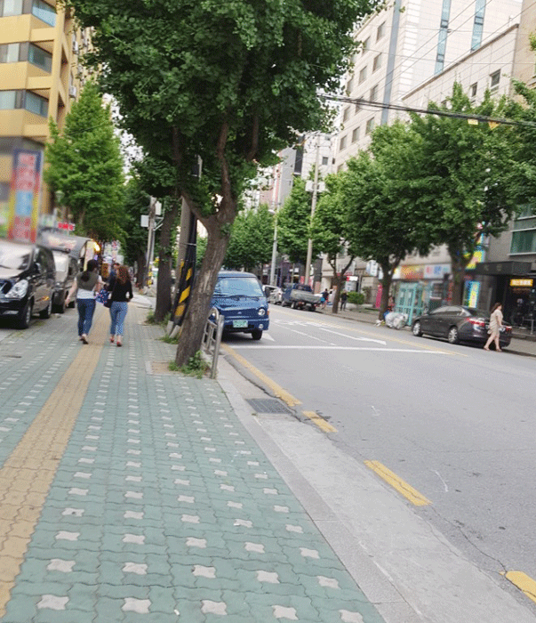 [다신8기 일일미션 월요일 완료] 가벼운 산책~~