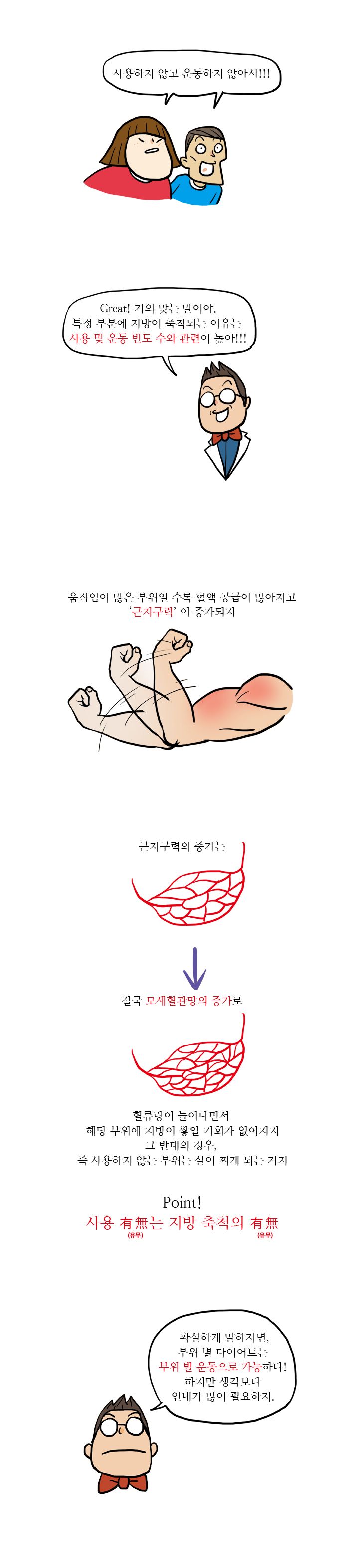 19화, 특정 부분 살빼기가 가능할까?