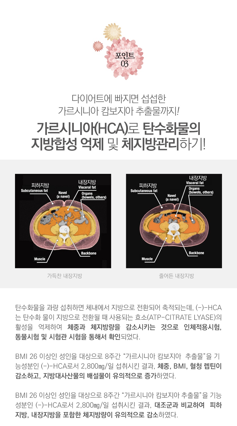 (모집)슬림미 다이어트 체험단 모집(8.3~8.13)