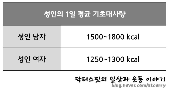 운동을 통한 다이어트, 얼마나 해야 할까?