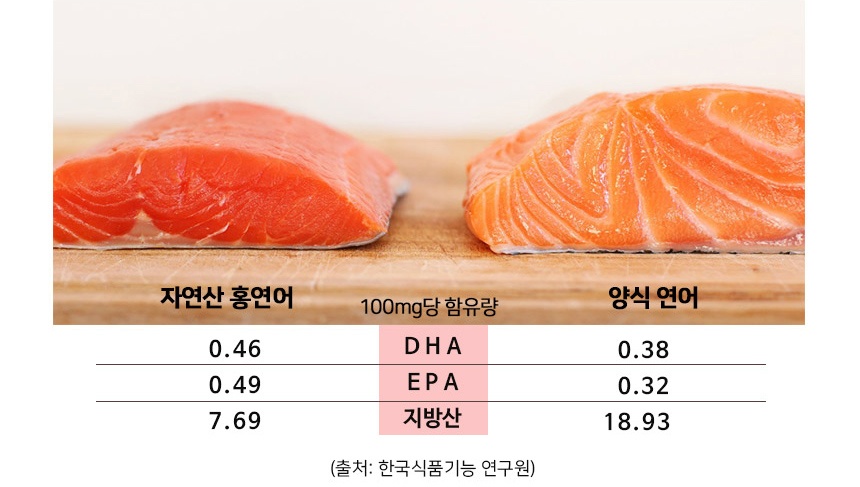 훈제 홍연어 개봉기! 같이 개봉해봐요💕🙌