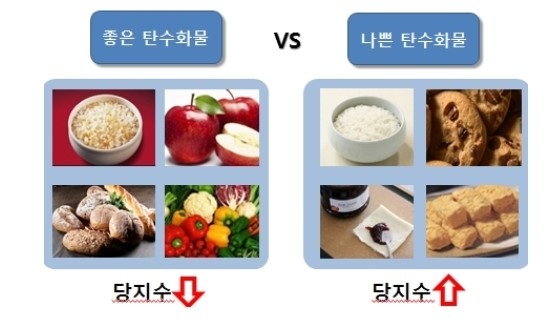 좋은 탄수화물 vs 나쁜 탄수화물