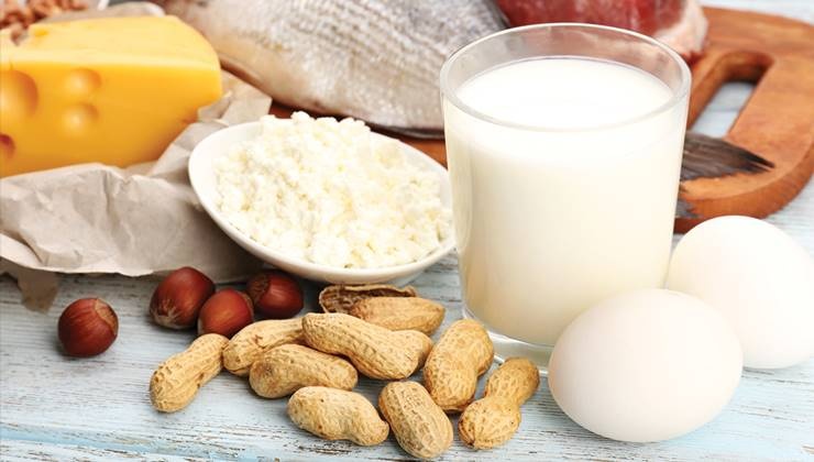 몸에 좋은 최고의 단백질 식품 7가지!