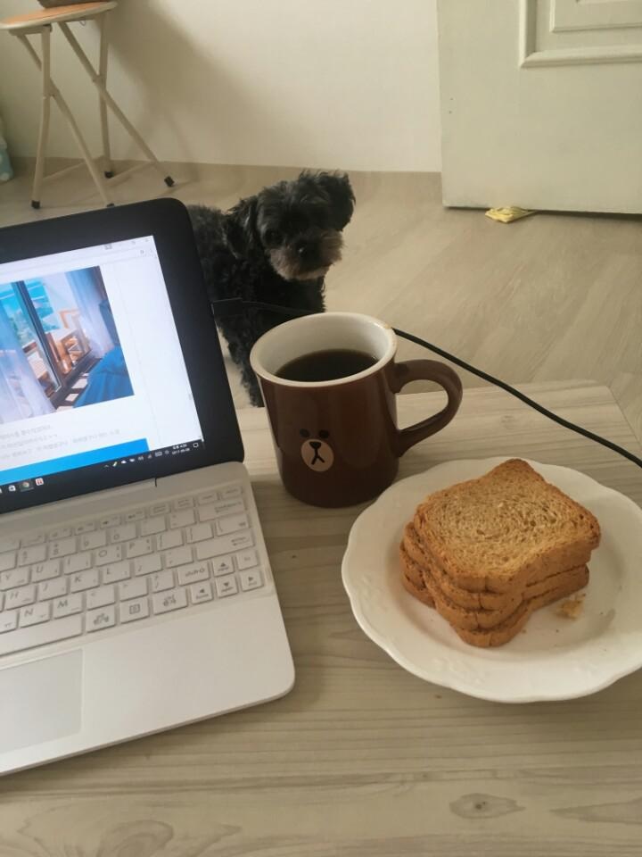 존맛탱구리~.~