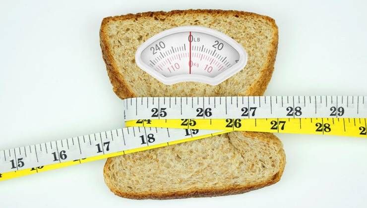 칼로리 계산은 다이어트의 적이다?!